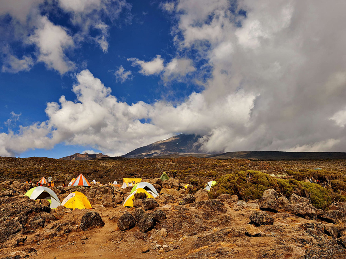 6 Days Lemosho Route Kilimanjaro Trekking